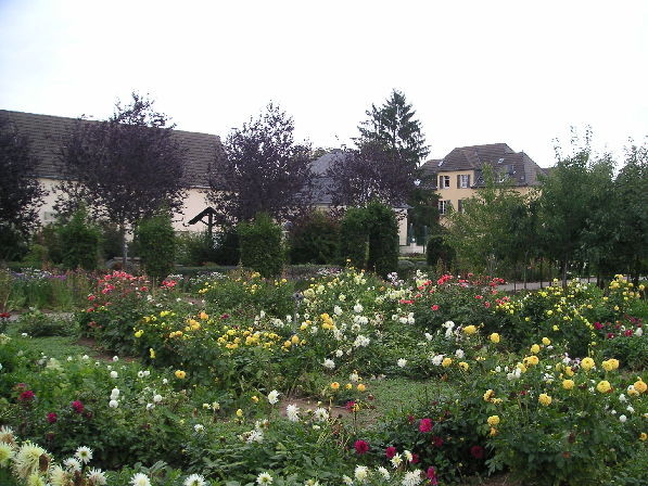 Impressionen aus dem Garten- und Landschaftsbau